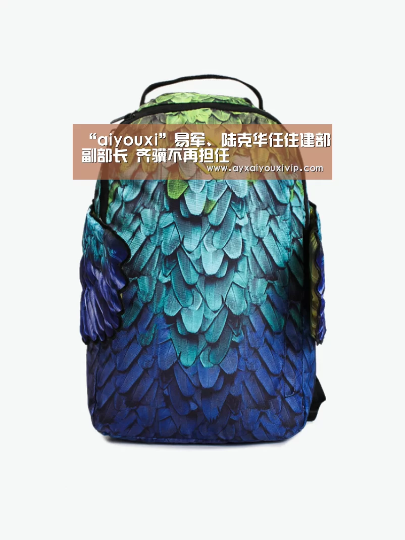“aiyouxi”易军、陆克华任住建部副部长 齐骥不再担任(图2) 爱游戏娱乐