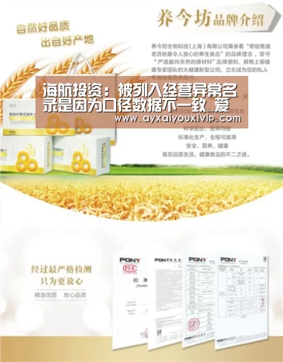 海航投资：被列入经营异常名录是因为口径数据不一致_爱游戏娱乐