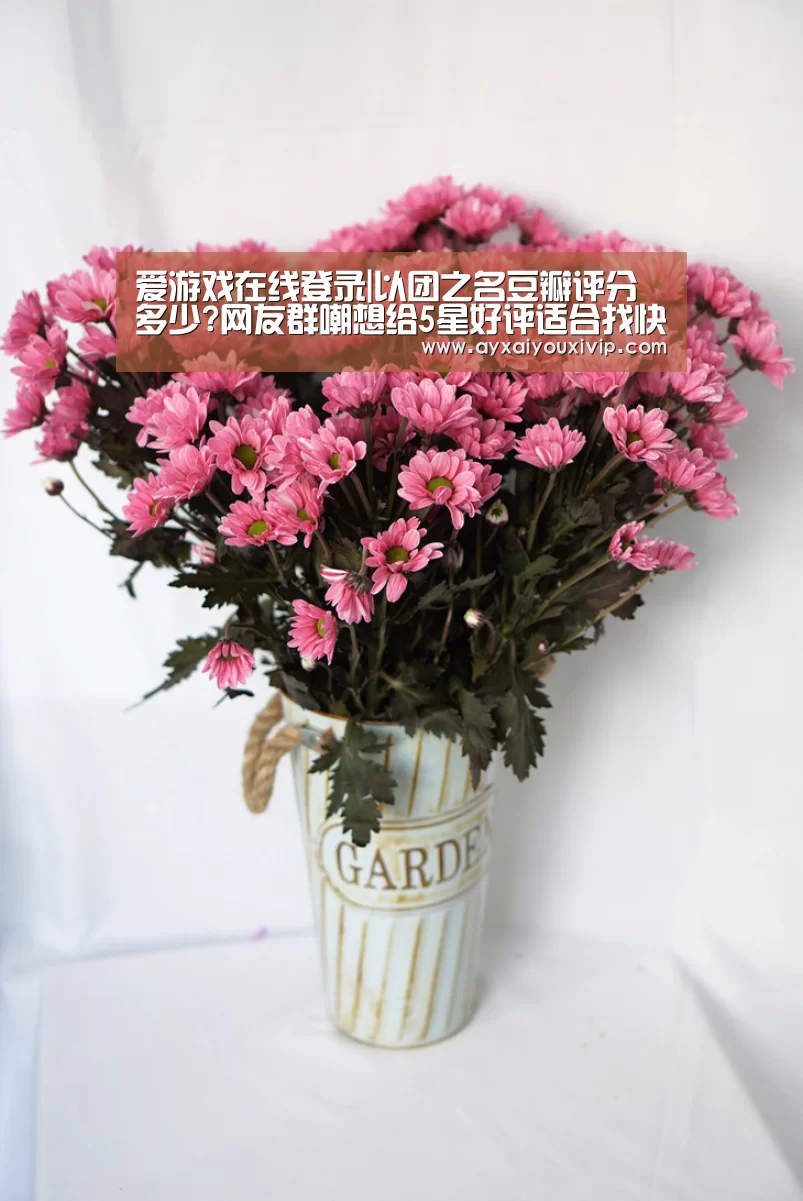 爱游戏在线登录|以团之名豆瓣评分多少?网友群嘲想给5星好评适合找快乐!(图2) 爱游戏在线登录|以团之名豆瓣评分多少?网友群嘲想给5星好评适合找快乐!(图2)